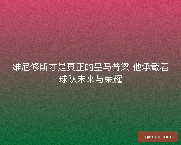 维尼修斯才是真正的皇马脊梁 他承载着球队未来与荣耀 维尼修斯才是真正的皇马脊梁 他承载着球队未来与荣耀