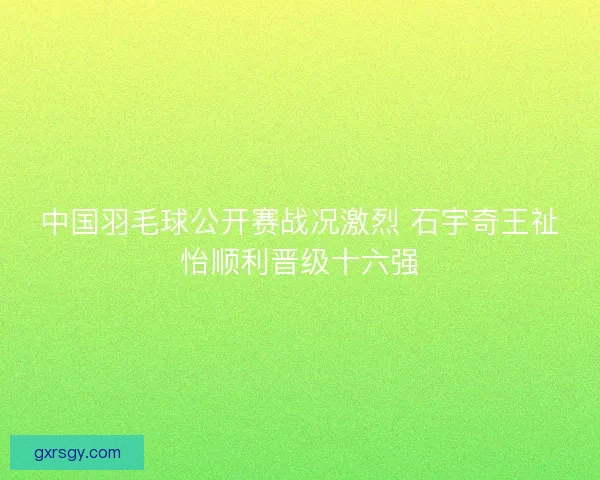 中国羽毛球公开赛战况激烈 石宇奇王祉怡顺利晋级十六强 中国羽毛球公开赛战况激烈 石宇奇王祉怡顺利晋级十六强